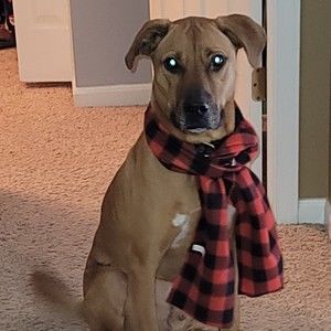 Meet your Posher, Jason